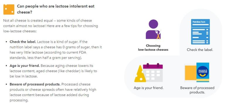 Можно ли есть сыр?